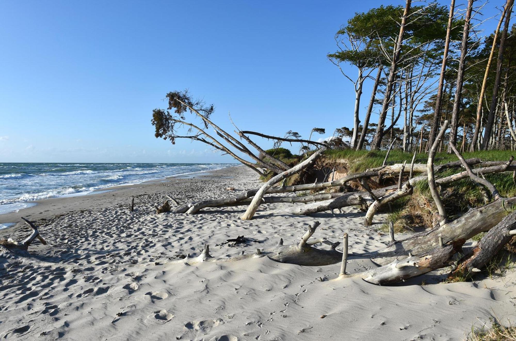 Leuchtturm An Der Seebruecke Apartment Zingst